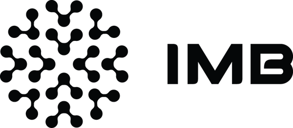 IMB - Instituti i Modelimit ne Biznes
